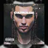 Carnage - Single album lyrics, reviews, download