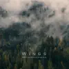 Wings (feat. Ardie Son) song lyrics