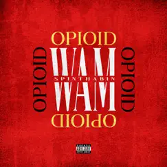 Opioid Song Lyrics