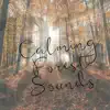 Calming Forest Sounds album lyrics, reviews, download