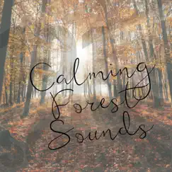 Calming Forest Sounds by 101 Nature Sounds, Amazing Spa Music & Zoë Chambers album reviews, ratings, credits
