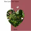 New Love New Times - Single album lyrics, reviews, download