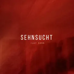 Sehnsucht - Single by Ilay 3896 album reviews, ratings, credits