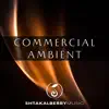 Commercial Ambient - Single album lyrics, reviews, download