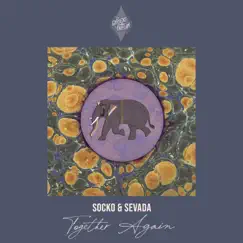 Together Again - Single by Socko & Sevada album reviews, ratings, credits