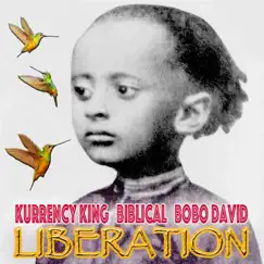 Liberation - Single by Kurrency King, Biblical & Bobo David album reviews, ratings, credits