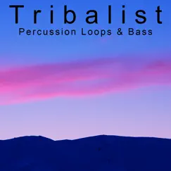 Percussion Loops & Bass - Single by Tribalist album reviews, ratings, credits