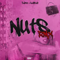 Nuts Rmx - Single by Vaimo & Kappab album reviews, ratings, credits