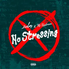 No Stressing (feat. Mr UpStreaM) Song Lyrics