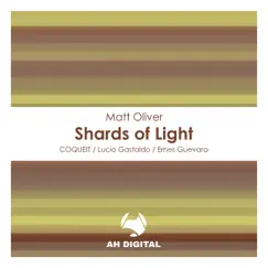 Shards of Light (Lucio Gastaldo Remix) Song Lyrics