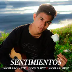 Sentimientos - Single by Nicolás Olarte, Dimelo Arci & Nicolas Lopez album reviews, ratings, credits