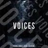 VOICES (feat. CRITICAL) - Single album lyrics, reviews, download