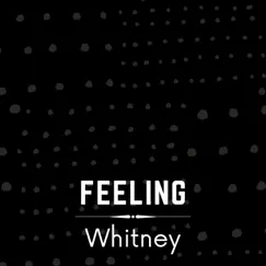 Feeling Whitney - Single by Ri13 album reviews, ratings, credits