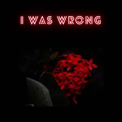 I Was Wrong Song Lyrics