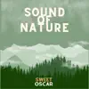 Sound of Nature - Single album lyrics, reviews, download