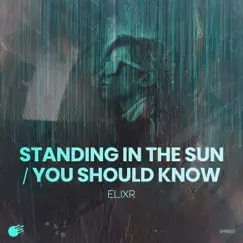 Standing in the Sun Song Lyrics