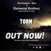 Torm ((Liquid Dnb Mix)) - Single album lyrics, reviews, download