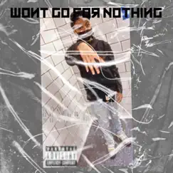 Wont Go For Nothing - Single by Fasho Bejay album reviews, ratings, credits