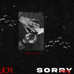 SORRY - Single by Jor album reviews, ratings, credits