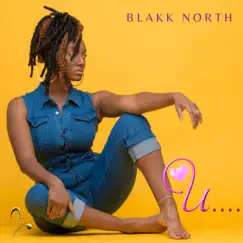 U - Single by Blakk North album reviews, ratings, credits