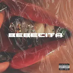 Bebecita - Single by EL TRAKETO & Sewel album reviews, ratings, credits