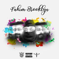 Dollars - Single by Fahim Brooklyn album reviews, ratings, credits