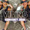 ViBiN - Single album lyrics, reviews, download