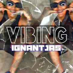 ViBiN - Single by Ignant.Jas album reviews, ratings, credits