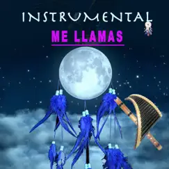 Me llamas - Single by Music festival Andina album reviews, ratings, credits