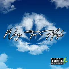 Way Too High (feat. Tariana Love) - Single by Ayo Tally & Dom Shaquille album reviews, ratings, credits