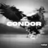 Condor - Single album lyrics, reviews, download