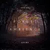 Relaxing Nature Forest Ambience Meditation album lyrics, reviews, download
