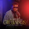 Groanings (Paruto Live peformance) - Single album lyrics, reviews, download