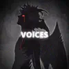 Voices - Single album lyrics, reviews, download