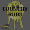 Country Buds - Single album lyrics, reviews, download