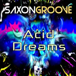 Acid Dreams - Single by Saxongroove album reviews, ratings, credits