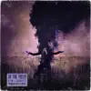 In the Field (feat. SADISTIC) - Single album lyrics, reviews, download