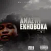 Amazwi Ekhoboka album lyrics, reviews, download