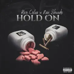 Hold On (feat. Nsu Sheedo) Song Lyrics