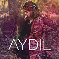 Aydil (Kurdish Trap) - Single by Turkish Trap Instrumentals album reviews, ratings, credits