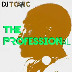 The Professional by DJ Toxic album reviews, ratings, credits