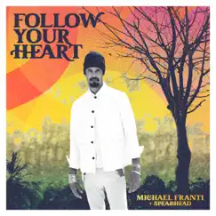 Follow Your Heart by Michael Franti & Spearhead album reviews, ratings, credits