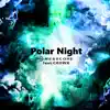 Polar Night (feat. CROWK) - Single album lyrics, reviews, download