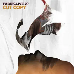 FABRICLIVE 29: Cut Copy (DJ Mix) by Cut Copy album reviews, ratings, credits