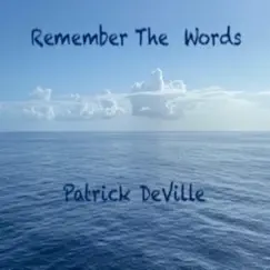 Remember the Words - Single by Patrick DeVille album reviews, ratings, credits