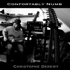 Comfortably Numb - Single by Christophe Deremy album reviews, ratings, credits