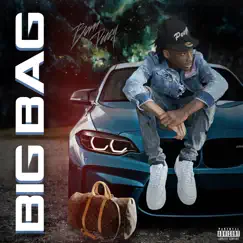 Big Bag - Single by Born Peezy album reviews, ratings, credits