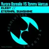 Elegy / Eternal Sunshine - EP album lyrics, reviews, download