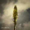 Las Cruces - Single album lyrics, reviews, download