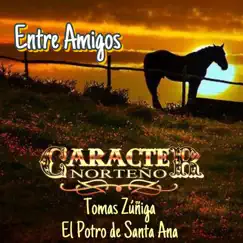 Entre Amigos by Carácter Norteño & Tomas Zúñiga El Potro De Santa Ana album reviews, ratings, credits